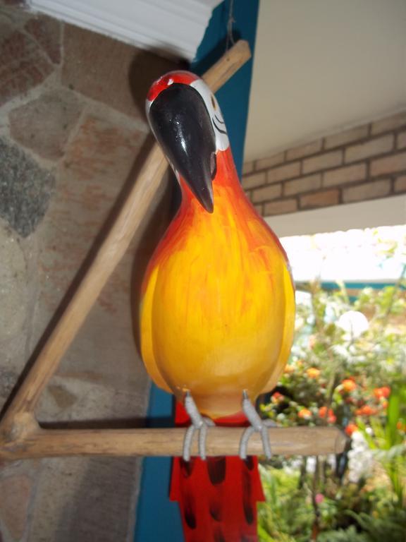 Pousada Riacho Doce カラグァタトゥバ 部屋 写真